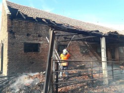 Pompierii au salvat de la incendiu, animalele unui adăpost din Sântana