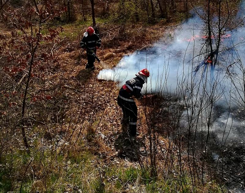 ATENȚIE șoferi ! DN 7 afectat de fum datorită unui incendiu de vegetație, în apropiere de Vărădia de Mureș
