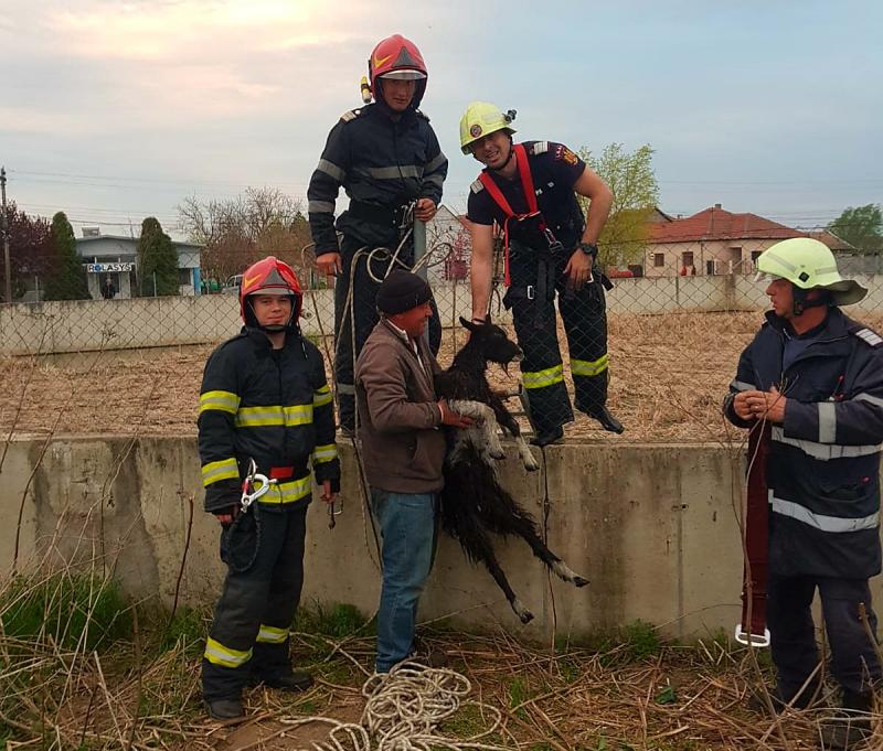 Pompierii arădeni nu stau nicio clipă ! Pentru ei orice viață contează