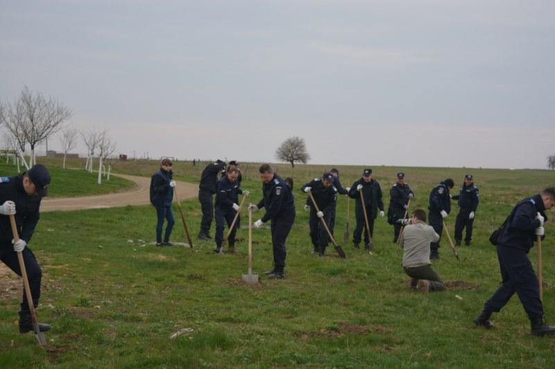 1500 de arbori redați naturii de jandarmi și voluntari în cadrul proiectului ,,Plantăm fapte bune în România”
