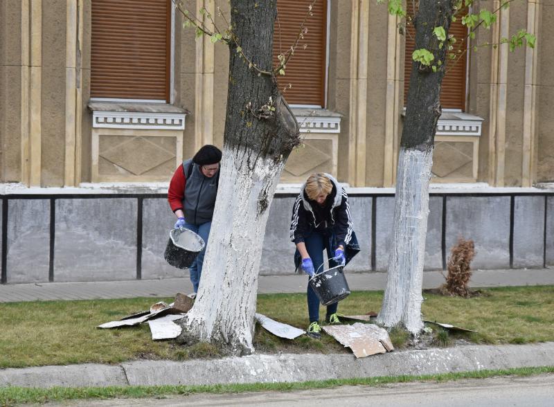 Peste 400 de voluntari au făcut curat la Pecica şi în satele aparţinătoare