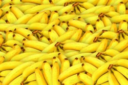 AFLĂ câteva lucruri foarte importante despre BANANE