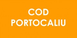 Cod PORTOCALIU de vijelii, grindină și ploi torențiale în Arad și alte peste 30 de județe