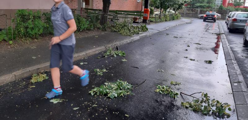 Mesajul Ro Alert a fost trimis la 7 minute după ce a început prăpădul la Arad !