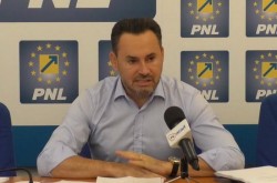 Din ce comisii face parte Gheorghe Falcă în noul parlament european