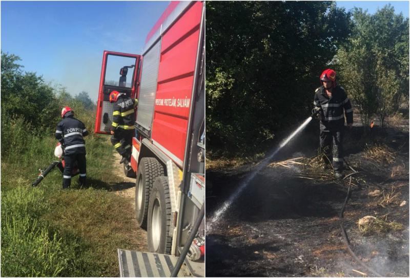 Incendiu violent de vegetație la ieșire din Arad