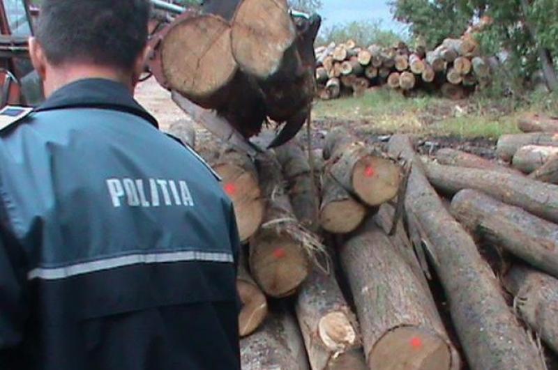 5.000 de lei amendă pentru un bărbat care transporta lemne în Gurahonț