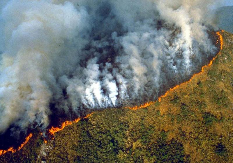 Cea mai mare pădure a planetei arde de peste 16 zile. Fumul provocat de incendii a lăsat Sao Paulo în beznă 