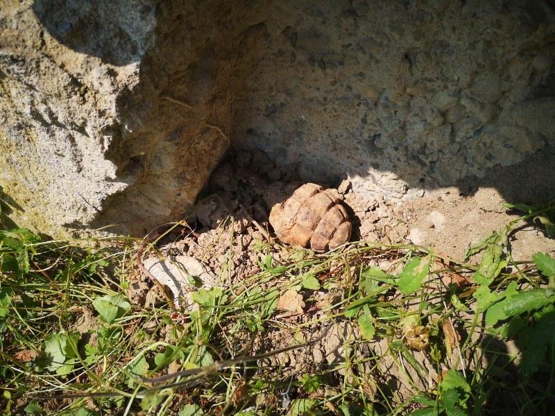Grenadă defensivă neexplodată descoperită în Comuna Dieci