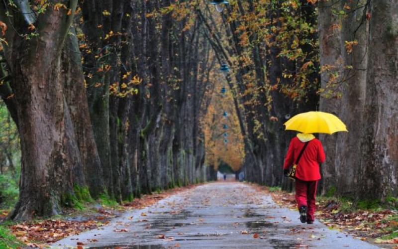 Masă de aer polar în România. Ce temperaturi sunt anunțate