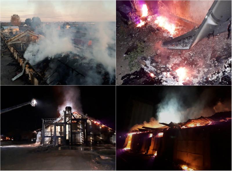 Incendiu VIOLENT la un depozit de cereale din Sântana!