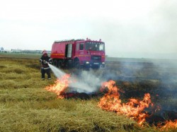 ISU Arad a stins în doar 2 luni, 53 de incendii de vegetație uscată