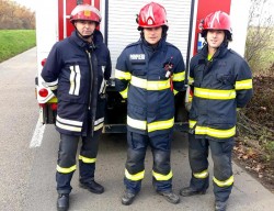 Orice VIAȚĂ CONTEAZĂ ! Duminică dimineața, trei pompieri arădeni au salvat o căprioară