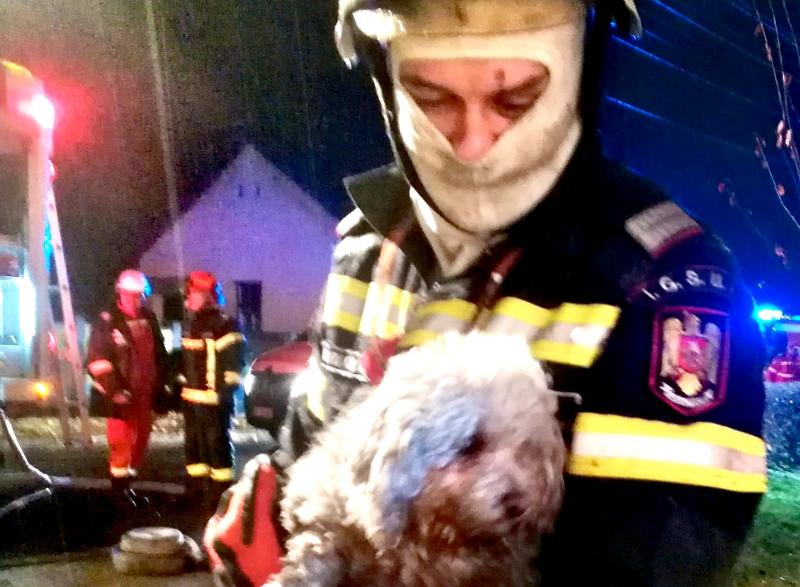 Claudiu  Bozsitz este pompierul arădean care a salvat un cățeluș din flăcări