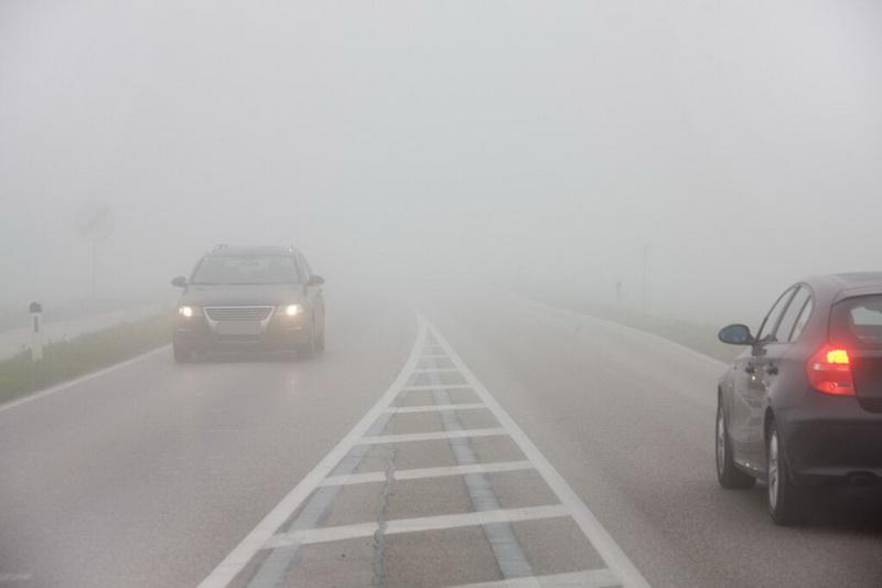 Alertă METEO!  COD GALBEN de ceaţă şi vânt puternic pentru judeţul Arad