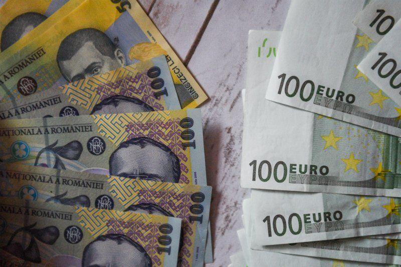 Euro şi Dolarul încep anul în scădere