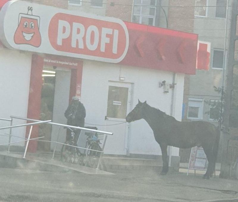 Viaţa bate filmul!Şi-a “parcat” calul la un supermarket în Arad