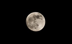 Eclipsă specială vineri seara. Luna Lupului, vizibilă de pe teritoriul României