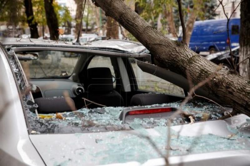 Atenție, arădeni unde parcați! Un copac a căzut peste un autoturism