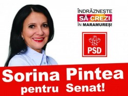 Fostul ministru PSD al sănătăţii Sorina Pintea, reținută pentru 24 de ore de procurorii DNA