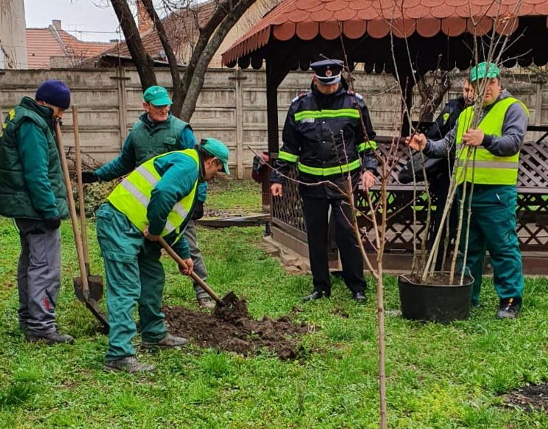 GCA în colaborare cu ISU au demarat acţiuni de plantare de copaci în judeţul Arad   