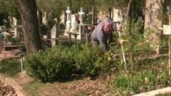 Poți merge la părinți de Paște sau poți merge la cimitir pentru a face curat la morminte? AFLĂ acum răspunsurile și multe altele la întrebările puse de români