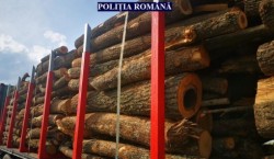 Transport de lemne ilegal, depistat de polițiștii arădeni