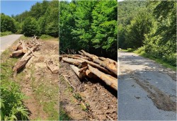 Exploatări forestiere amendate pe drumul județean Julița-Mădrigești!