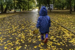 Prognoza METEO pentru vineri, 13 noiembrie în vestul țării