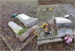 Mai multe morminte dintr-un cimitir arădean vandalizate sâmbătă după amiaza