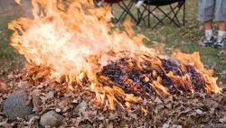 Amenzi usturătoare pentru arderea frunzelor și a altor resturi vegetale începând din luna februarie