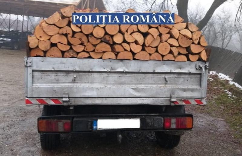 Au tăiat ilegal arbori la Gurahonț