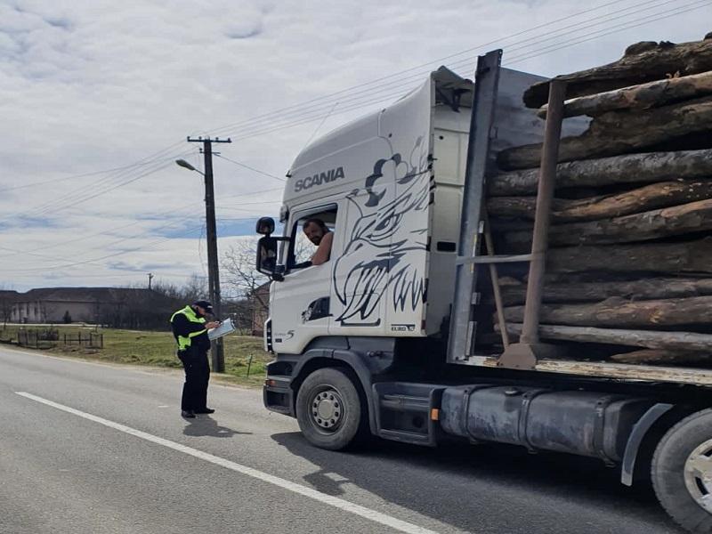 Controale la fondul forestier național