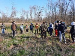 200 puieți de păr au plantat membrii clubului Rotary Arad Cetate la Pădurea Ceala