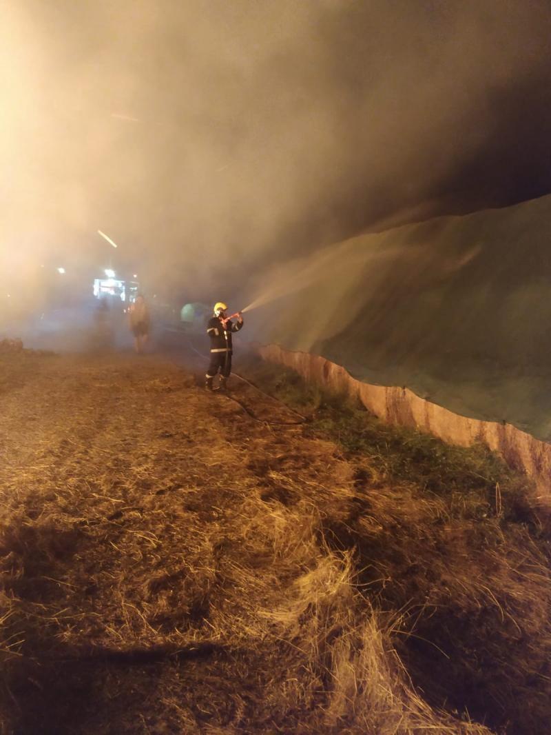 Val de incendii de vegetație uscată în județul Arad