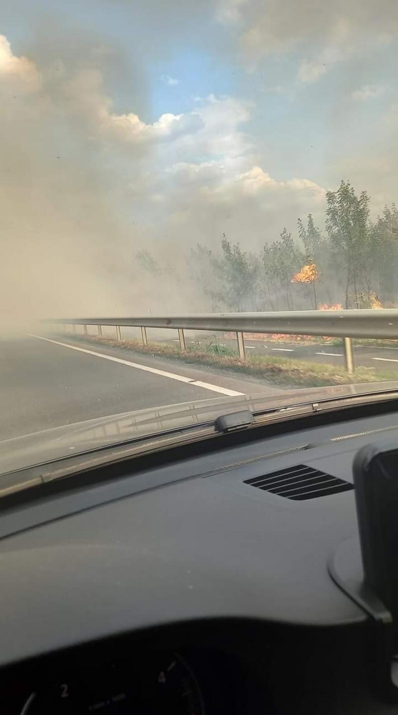 Vâlvătaie de flăcări și fum gros între Vladimirescu și Cicir. Traficul este îngreunat. Pompierii intervin asupra incendiului