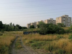 Parcul din Micălaca este un început pentru proiectele care fac Aradul un oraș verde