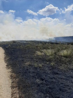 Incendiu de vegetație la Sânicolaul Mic