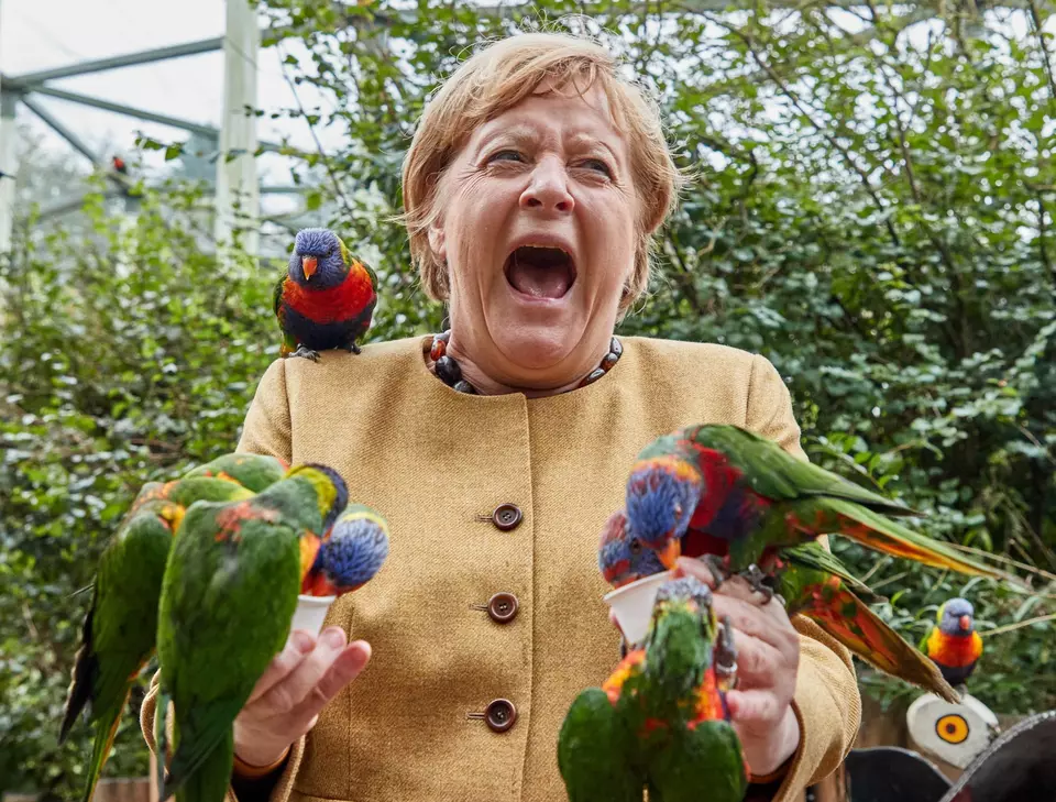 Atac asupra Angelei Merkel în Anglia. Cancelarul Germaniei a fost victima ciupiturii unui papagal