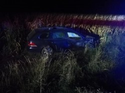 Mistrețul a fost mai tare decât mașina. Accident între un mistreț și un autoturism între Pecica și Nădlac