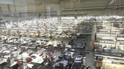 Cu aproape 1.100 de angajați la fabrica din Curtici producătorul de componente auto Coindu România a ajuns la afaceri de 74,5 milioane euro în 2020

