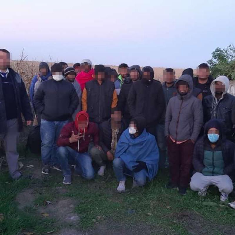 Douăzeci și șase de imigranți depistați într-un lan de porumb lângă Nădlac