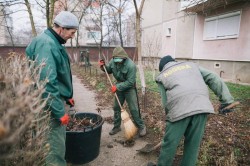 Începe curăţenia de toamnă la Arad. Zona centrală, prima vizată