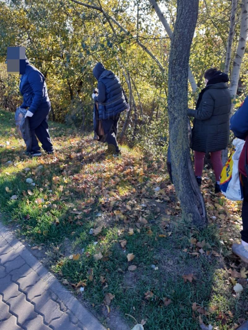 Deși unii clamează constant sloganul ”fără penali”, câteodată sunt buni și aceștia la ceva. 21 de condamnați penal au strâns 16 tone de deșeuri într-o lună în Arad