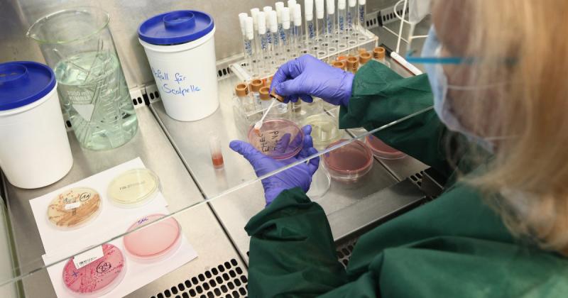 Primul caz de infectare cu noua tulpină de coronavirus a fost raportat în Belgia