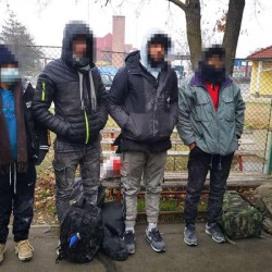 Ascunși între saci de porumb și făină, opt afgani și pakistanezi au fost depistați de polițiștii de frontieră de la Nădlac în timp ce încercau să treacă illegal în Ungaria

