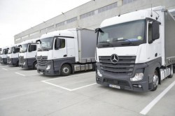 Grupul de logistică şi transport marfă International Alexander din Arad a încheiat 2021 cu afaceri de 200 de milioane de euro

