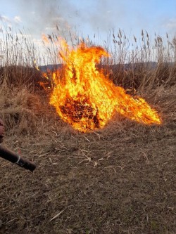 Weekend fierbinte pentru pompierii arădeni. 82 de misiuni ale pompierilor militari arădeni în acest sfârșit de săptămână

