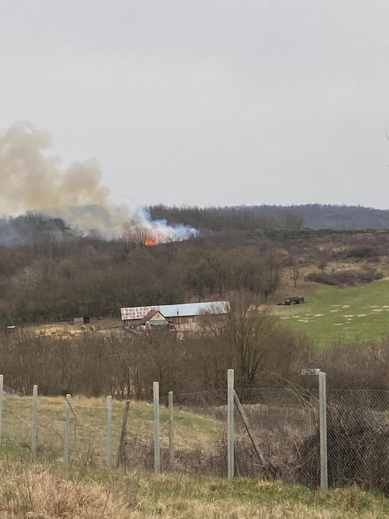 Incendiul din zona Tauț a fost lichidat după 20 de ore de luptă cu flăcările. Au ars 300 de hectare, mai multe decât în toată perioada anului trecut în județul Arad