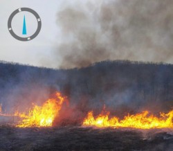 67 de hectare de teren au ars duminică în județul Arad. 96 de misiuni ale pompierilor militari arădeni în ultimul sfârșit de săptămână 